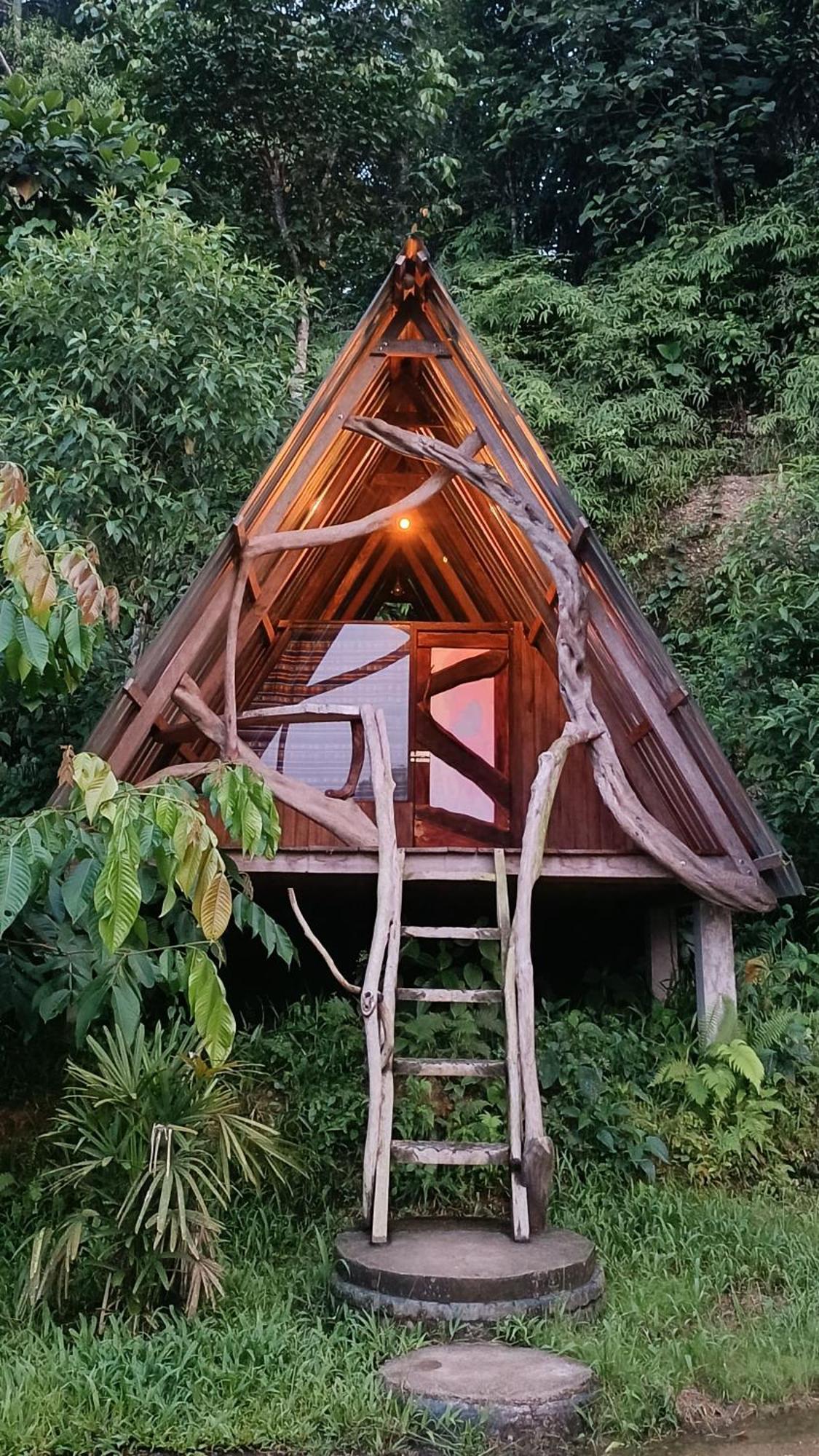 Jungle Roots Hotel Tena Exterior photo