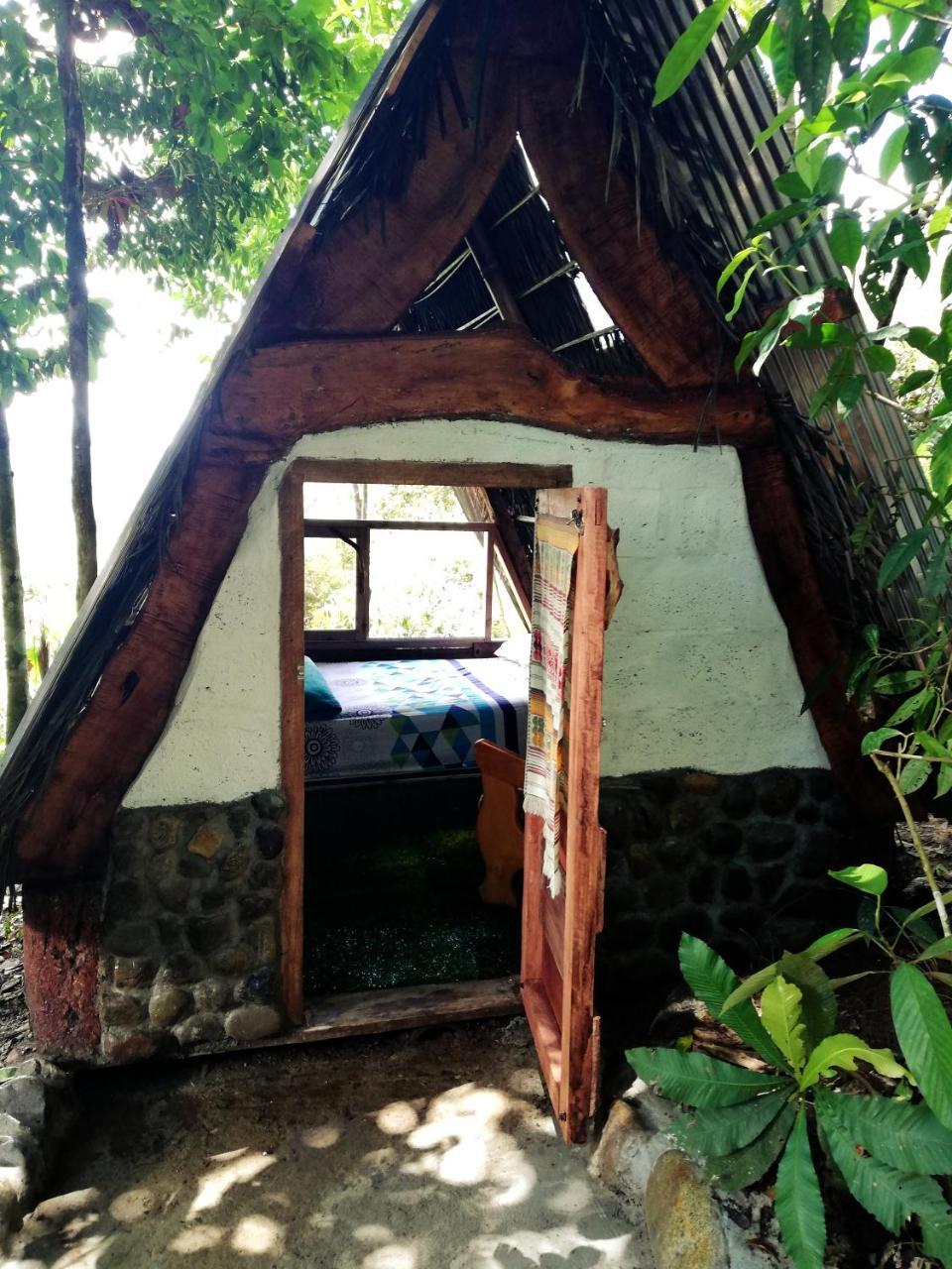 Jungle Roots Hotel Tena Exterior photo