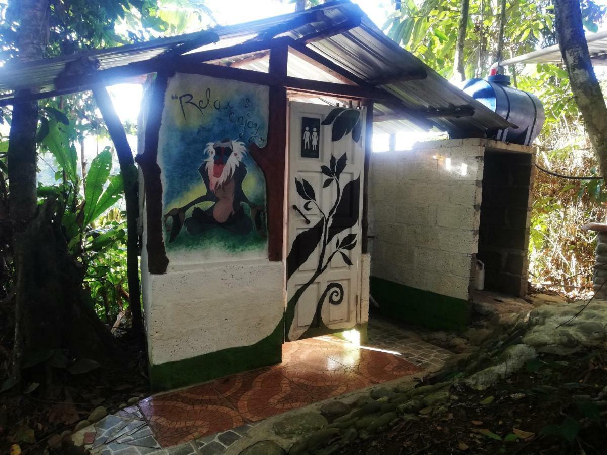 Jungle Roots Hotel Tena Exterior photo