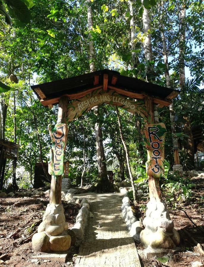 Jungle Roots Hotel Tena Exterior photo